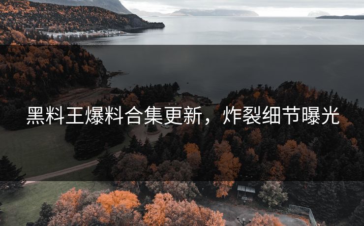 黑料王爆料合集更新，炸裂细节曝光