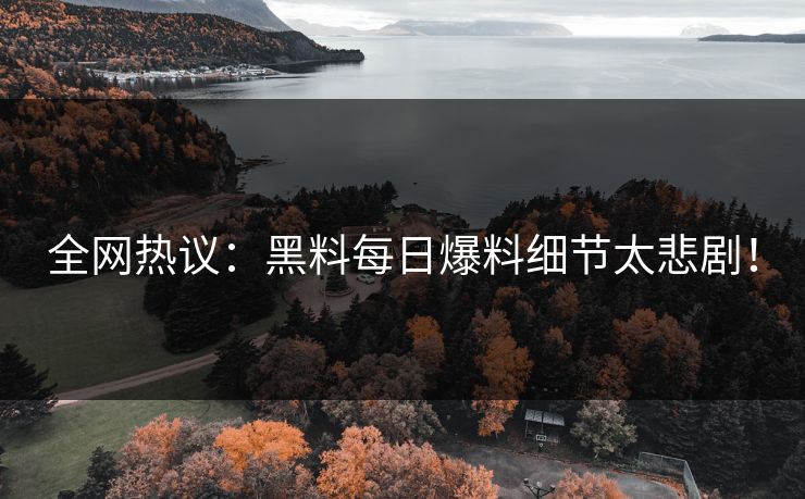 全网热议：黑料每日爆料细节太悲剧！