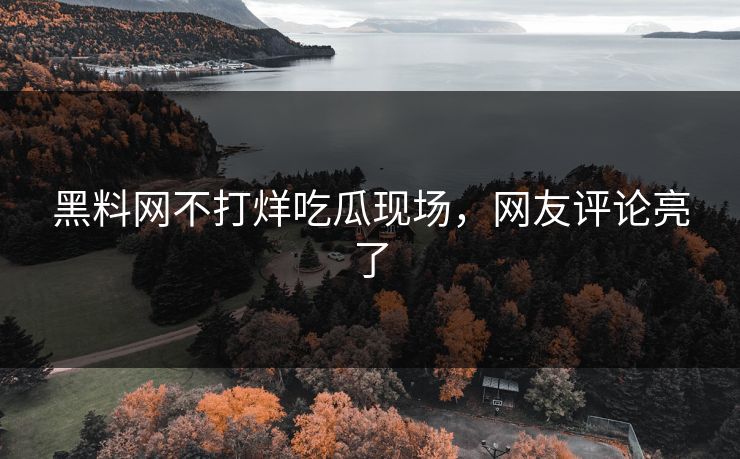 黑料网不打烊吃瓜现场，网友评论亮了