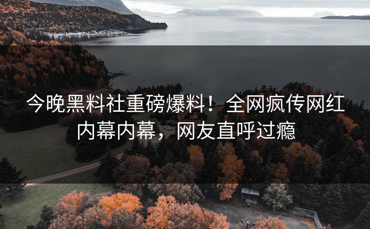 今晚黑料社重磅爆料！全网疯传网红内幕内幕，网友直呼过瘾