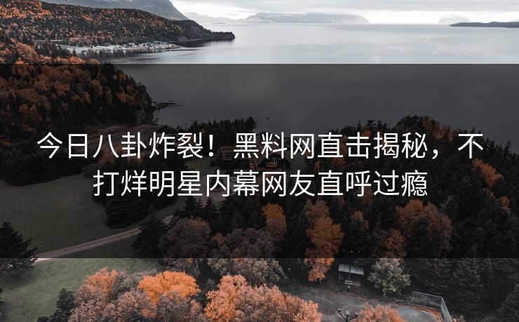 今日八卦炸裂！黑料网直击揭秘，不打烊明星内幕网友直呼过瘾