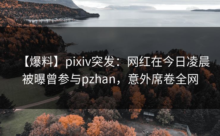 【爆料】pixiv突发：网红在今日凌晨被曝曾参与pzhan，意外席卷全网