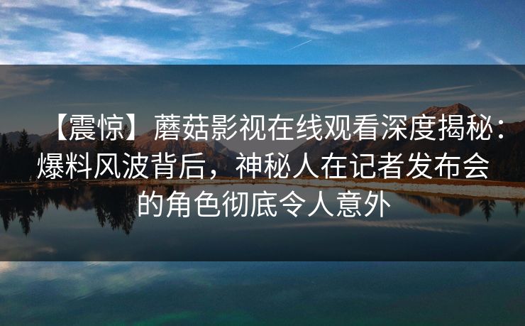 【震惊】蘑菇影视在线观看深度揭秘：爆料风波背后，神秘人在记者发布会的角色彻底令人意外