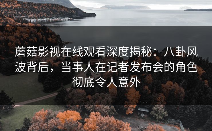 蘑菇影视在线观看深度揭秘：八卦风波背后，当事人在记者发布会的角色彻底令人意外