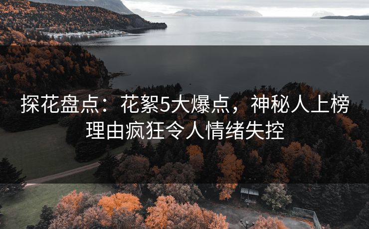 探花盘点：花絮5大爆点，神秘人上榜理由疯狂令人情绪失控