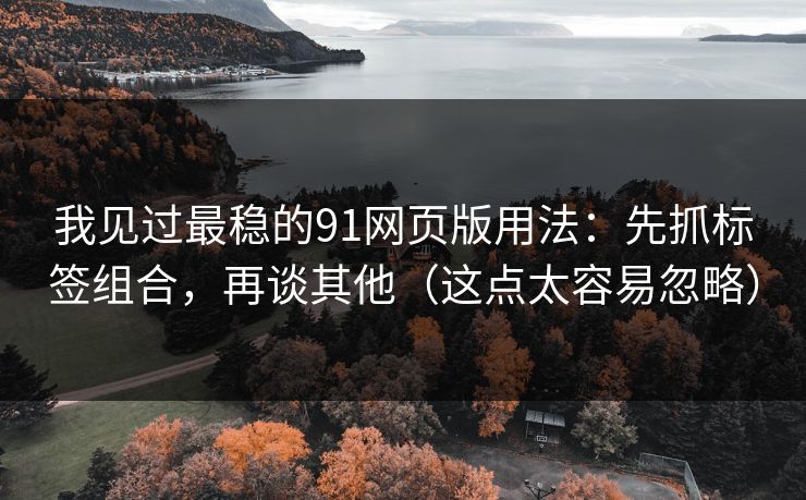 我见过最稳的91网页版用法：先抓标签组合，再谈其他（这点太容易忽略）